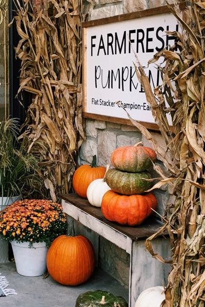 CRICUT MADE FALL AND HALLOWEEN SIGN